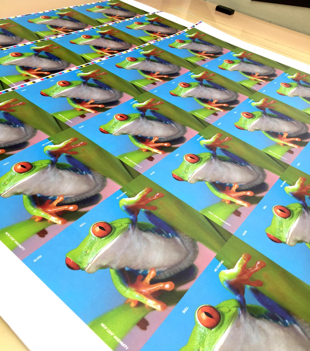 KasmanDesign's tweet photo. Had a great time on press with @LithographixLA printing the exciting new @NewLeafPaper swatch book—coming soon! http://t.co/nqe4lyjxup