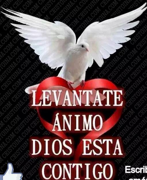 sharon77silva's tweet photo. http://t.co/kIhDhjPQaQ