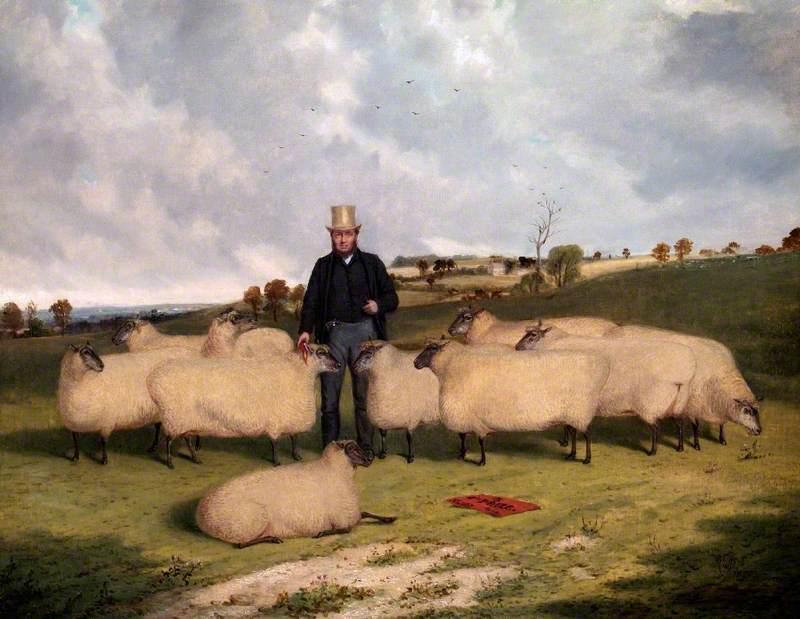 John Treadwell and His Flock of Oxford Down Sheep 
by Richard Whitford 1870
#BuckinghamshireCountyMuseum