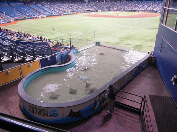 世界の野球場bot トロピカーナ フィールド タンパベイ レイズの本拠地 Mlbで唯一となった密閉ドーム球場 開放的な屋外球場が流行する直前の1990年に開場 球団がやってきたのは8年後と残念 外野スタンドには旧球団名の由来であるエイが泳ぐ水槽が