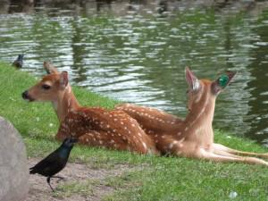 Accepting what is . . . in our own way acourseoflove.com/accepting-what…