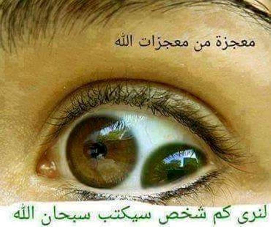 wra123456a tweet picture