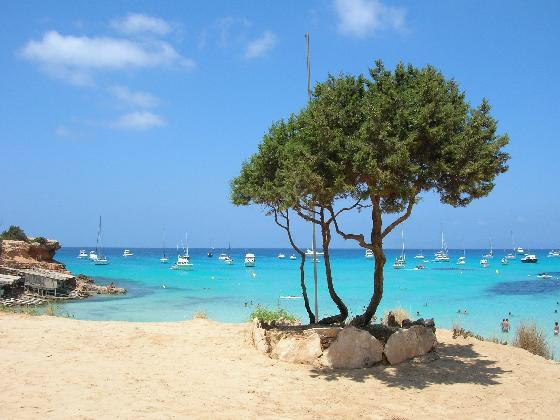 xiscatorrens's tweet photo. Lo necesito!!! @BiancaAguilar14 @joansalort @maria_salort  #FORMENTERA http://t.co/9LLp5yrUgS