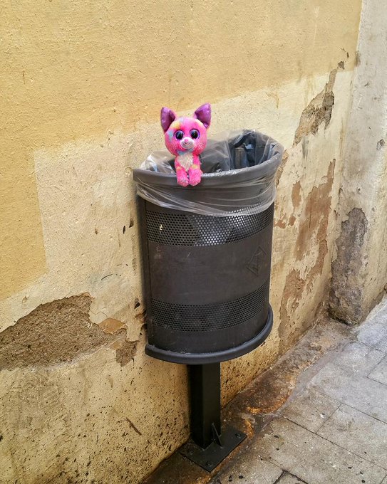 por estas cosas me gusta salir a primera  hora de casa #happy #toy http://t.co/h1e7ald5HW<a href="/tag/happy"class="tags"><span>#happy</span></a><a href="/tag/toy"class="tags"><span>#toy</span></a>