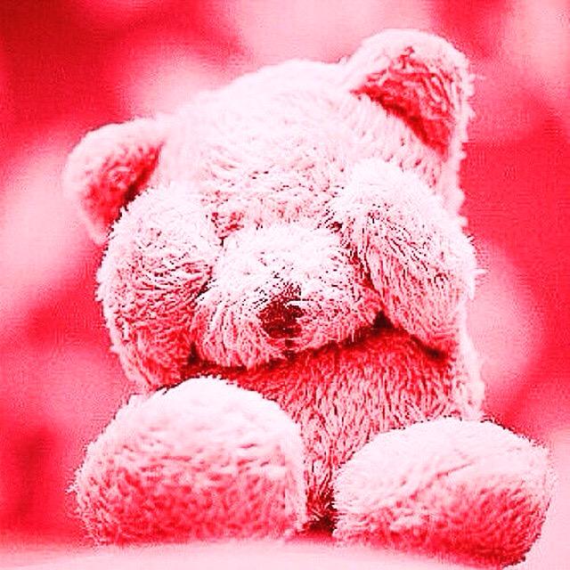 BlancheGarcia's tweet photo. Monday blues? You get out there and show the world who's fluffy. You are, that's who! #BFluffy #teddybearproblems http://t.co/EvmrA7lD4d