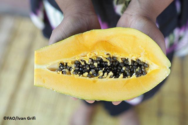 FAOKnowledge's tweet photo. Everybody should have access to the #food they need for a healthy life http://t.co/KFuywMqqXG #nutrition #UNFAO http://t.co/bjC647aB4X