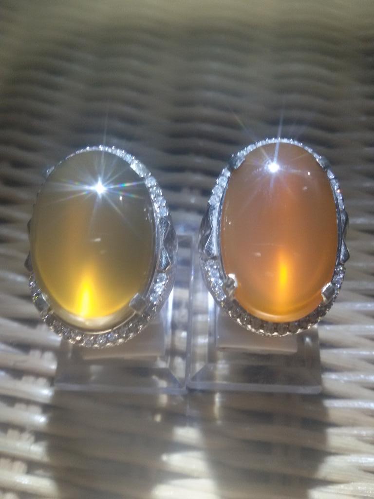 an_yul's tweet photo. Raflesia lagi...minat cek bio or invite or call.. http://t.co/JNvIPYxZr2