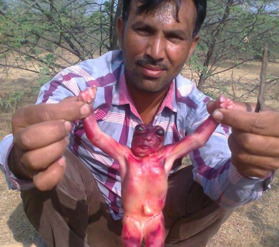 PublimetroChile's tweet image. #Anadieleimporta Hombre asegura que encontró el cuerpo de un "bebé alienígena" bit.ly/1SBmxB9