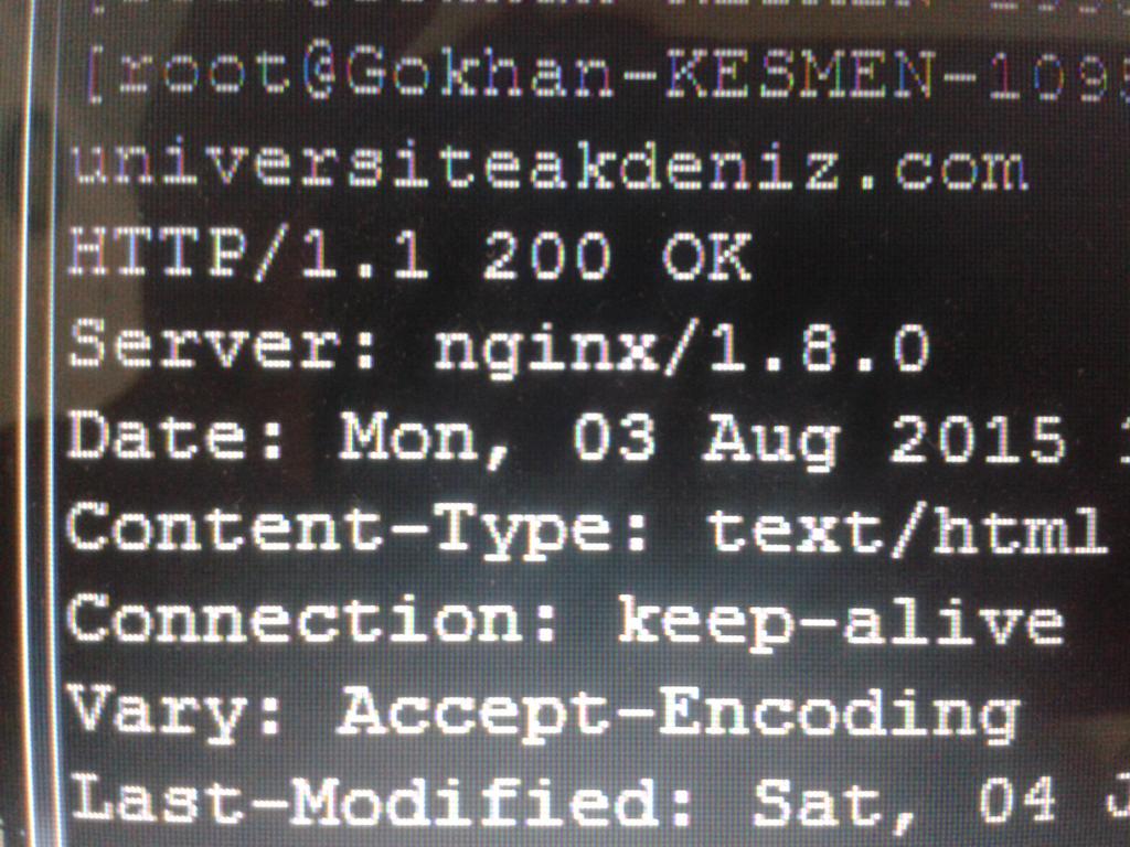 nginx