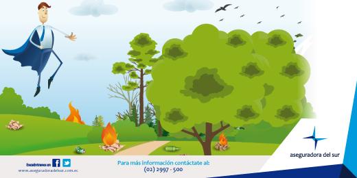 Aseguradora del Sur tweet media