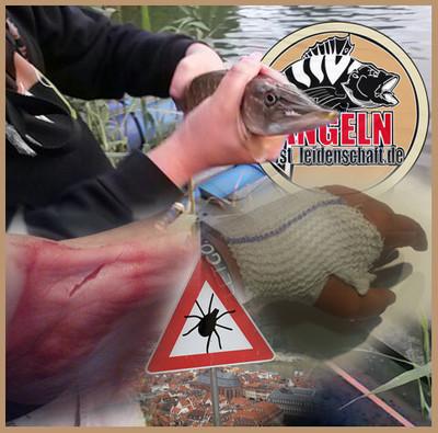 Angeln_Info's tweet photo. Aufgepasst ;)
http://t.co/2EorUA6Dyc http://t.co/moHStcNoTr