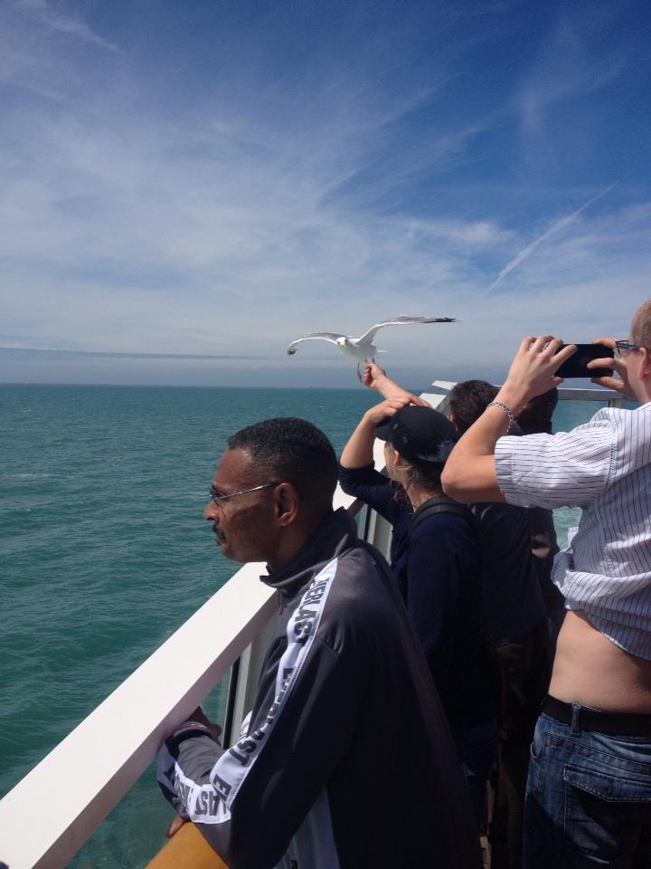 Feeding seagulls on the P&amp;O ferry to Calais. Where are the border controls? flying immigrants seagulls what next😱😱