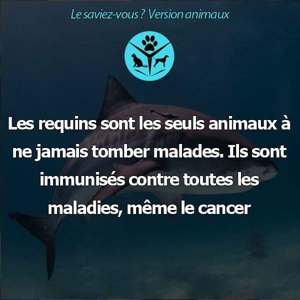 OuNousAllons's tweet photo. http://t.co/RNed55rSfe