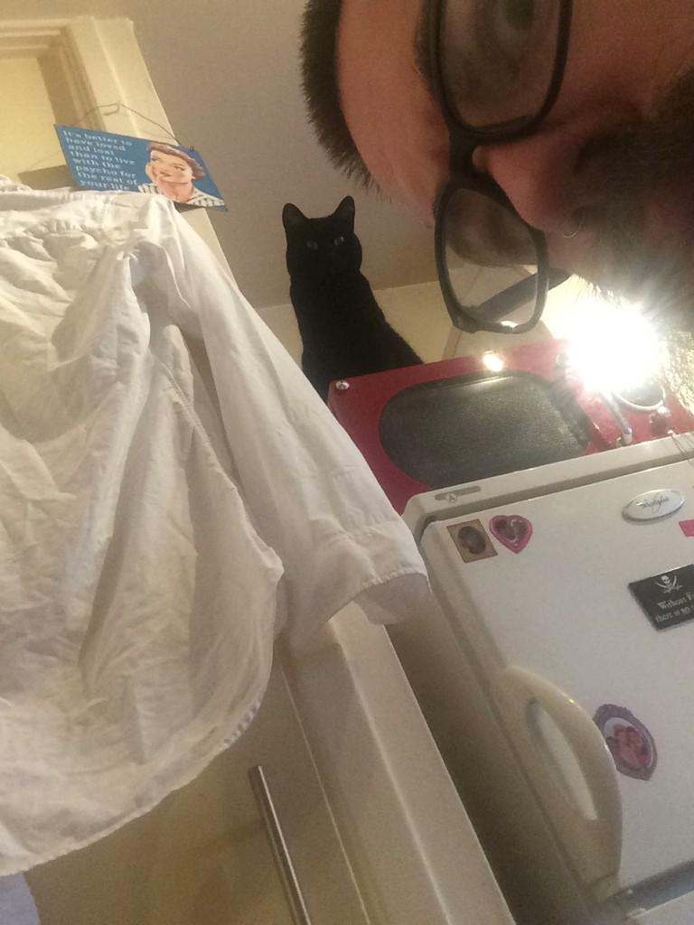bengibsonphoto's tweet photo. The cats planning an aerial attack on my pizza #dickheadcat http://t.co/BQ6WZ5AqCG
