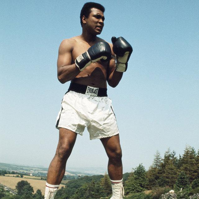 "In order to reach the top of the mountain, you have to climb every rock." #MuhammadAli