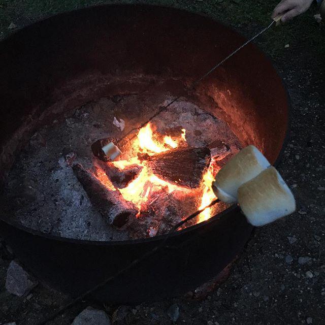 bobbleheadcan's tweet photo. SMORE'S!! A great cottage tradition.. Hope you have all enjoyed your long weekend!
#marshm… http://t.co/gu6PPlH2Le http://t.co/q7B5RupHYE