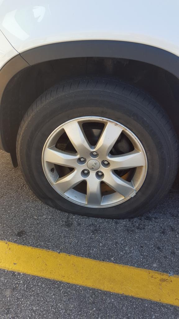 tcoffin24's tweet photo. And this just happened on the way home #nailedus Saved by #dexter #backontheroad #boytom http://t.co/h6QEeAACeL
