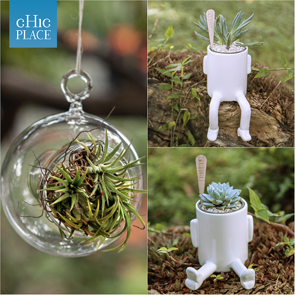 ChicPlace_CO's tweet photo. Deja que tu casa respire un nuevo aire y planta emociones por todos lados con VIVARIUM. http://t.co/i4ictmFYSi http://t.co/bl8XSTXloD