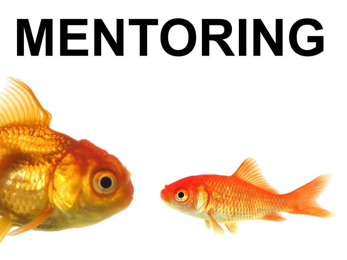 Hospitality managers: looking for a professional level #mentoring experience? #IoHMentorMe  bit.ly/1N4qM1a