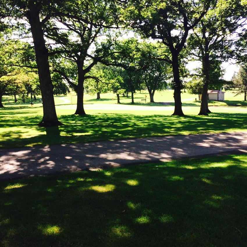 EvansIllini's tweet photo. It's a beautiful morning for golf. Scholars are reunited today for the #SummerOuting2015 http://t.co/d8nEjhPx9y