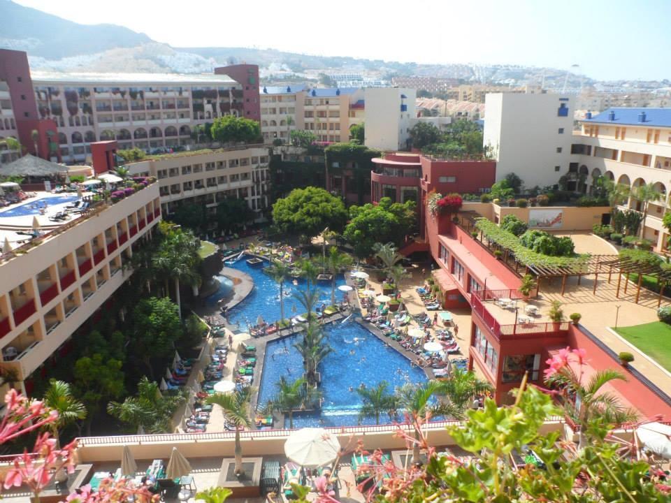 Best Jacaranda tweet media