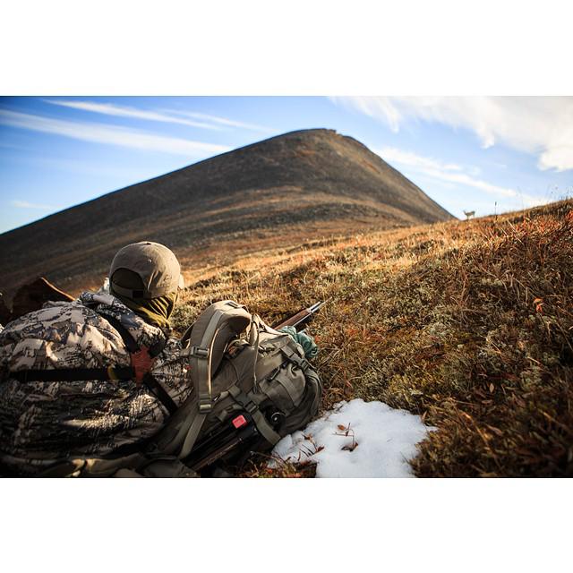 GORETEXhuntfish's tweet photo. Laying low this weekend? #HuntDifferent
Photo: Seacat Creative
#hunting | #deepforsheep | #optifade http://t.co/MZGCZjDTJW