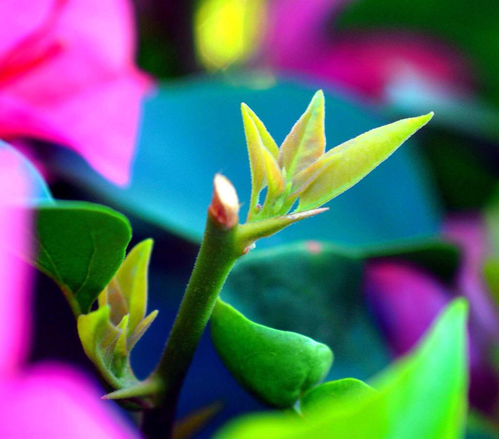 mongddu's tweet photo. http://t.co/jSDcg7J30p
