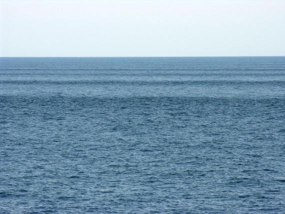 Collegamento permanente dell'immagine integrata