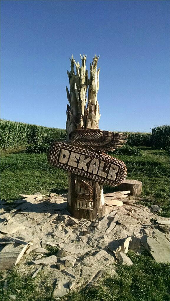 RobbFraley's tweet image. Unbelievable!  Watching chainsaw artist Jordan Dahl carve @Asgrow_DEKALB logo #AgPhD Field Day