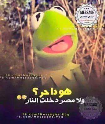 waled5com tweet picture