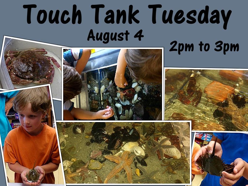 Kennebunk Toy Co. (KennebunkToyCo) Twitter