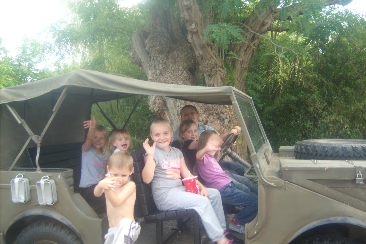 Does anyone recognise this little family?I found an SD card on the 472 bus in Greenwich filled with precious memories