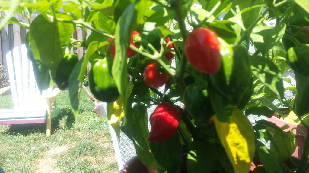 🌶Fxbg HOT🔥 tweet media