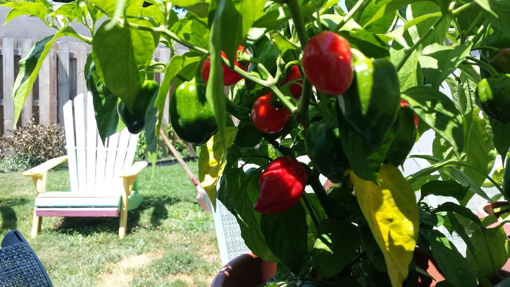 🌶Fxbg HOT🔥 tweet media