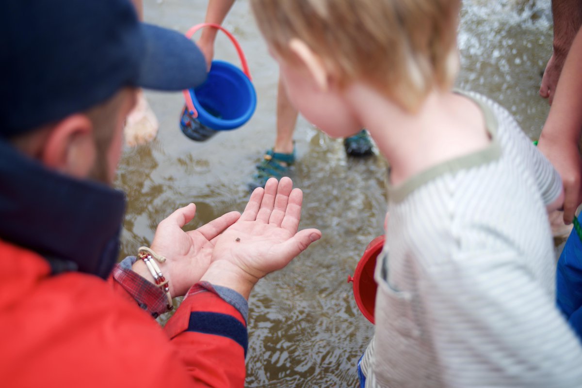 Algonquin_PP's tweet photo. Spending time in nature increases creativity, curiosity, &amp; problem-solving ability. http://t.co/SVj0oeK74v