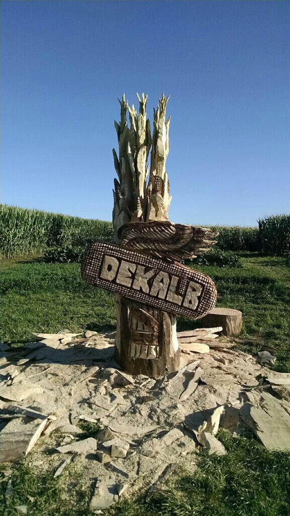 RobbFraley's tweet image. Unbelievable!  Watching chainsaw artist Jordan Dahl carve @Asgrow_DEKALB logo #AgPhD Field Day