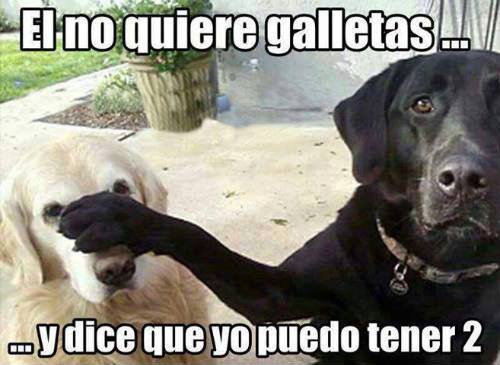 Jajaja algunos son muy listos