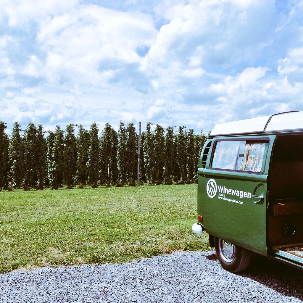 Winewagen's tweet photo. Climbing Bines http://t.co/USb50Bj4JP