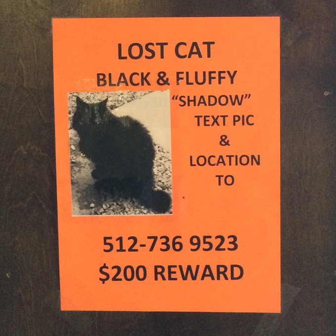 Watch theobanoth's leaked NSFW photo on TwXstars