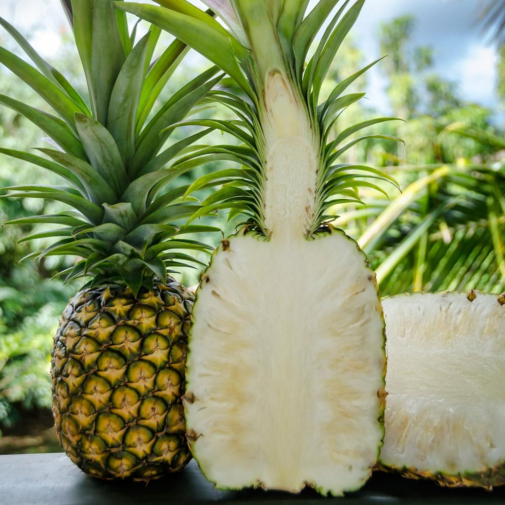 coolhunting's tweet photo. White Hawaiian Pineapples http://t.co/MqfJI0day1 http://t.co/IThg4ZeoRM