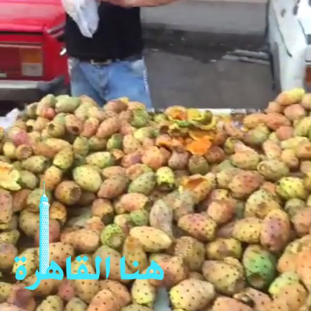 SundusALwahaibi's tweet photo. #cairo_live
مصر 💔😭 وبحبك وحشتيني ... http://t.co/pnXms8p7ee