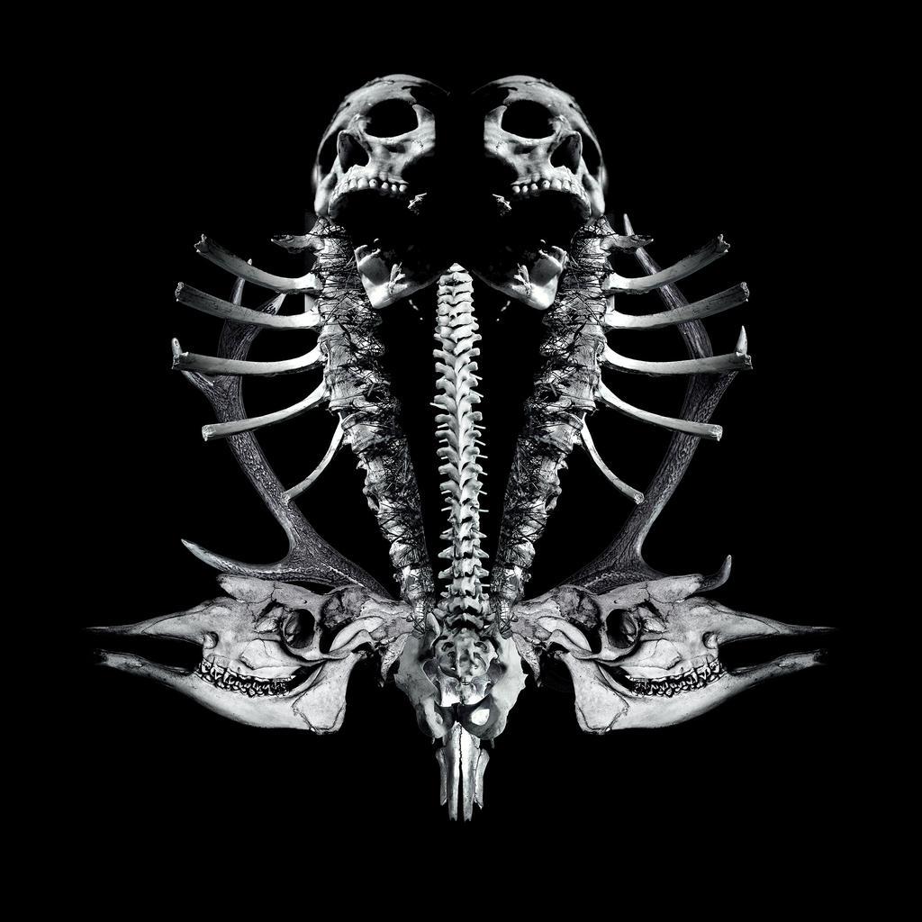AboveChaos's tweet photo. Old design made for #bethlehem #blackmetal #darkmetal #heavymetalart #skulls #photomanipulation #darkart http://t.co/XGMUrIBjhP