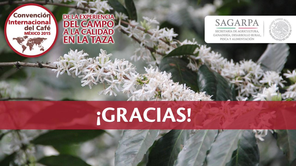 A todos nuestros visitantes, expositores, ponentes y personas que fueron parte de la Convención 2015..