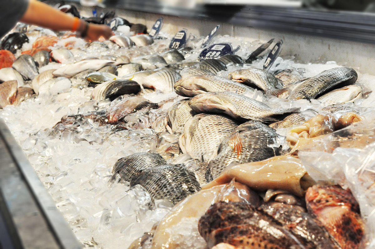 DoubleTreeTSB's tweet image. .@QualitySeafood may have LA's best seafood. Family owned and operated at the @RBpier since 1953.