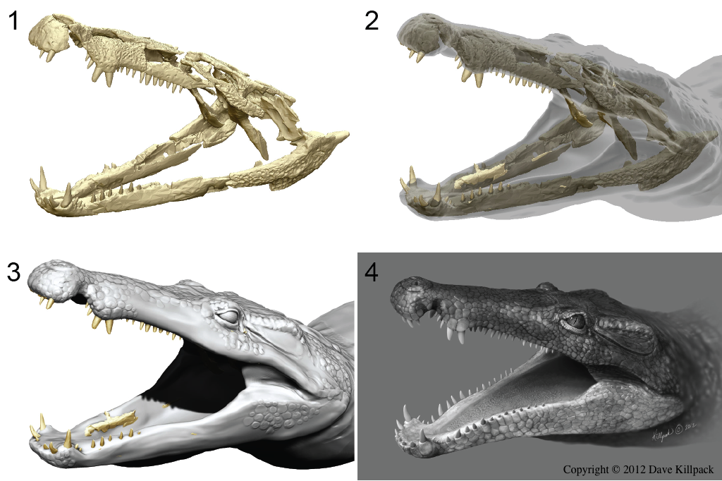nextengine's tweet image. Reconstructing a Newly Discovered Extinct Species of Crocodilian Using 3D Printing &amp;amp; Scanning 3dprint.com/16097/extinct-…