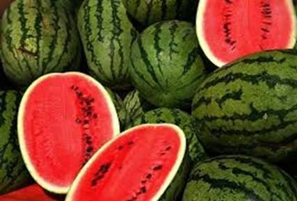 DermResearch1's tweet photo. National Watermelon Day! yummy http://t.co/hdyQouWfEg