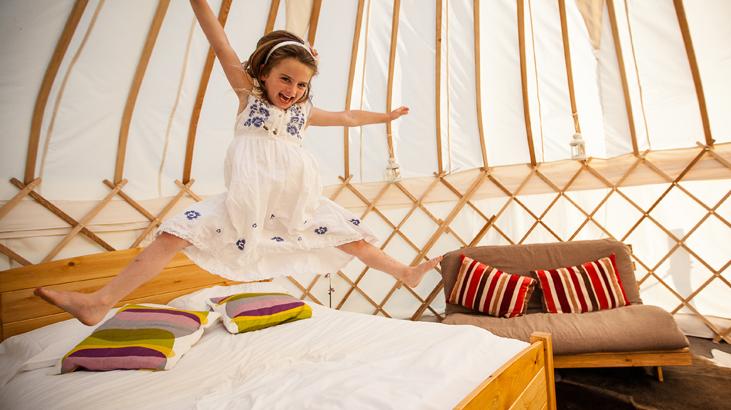 Yurtshire tweet media