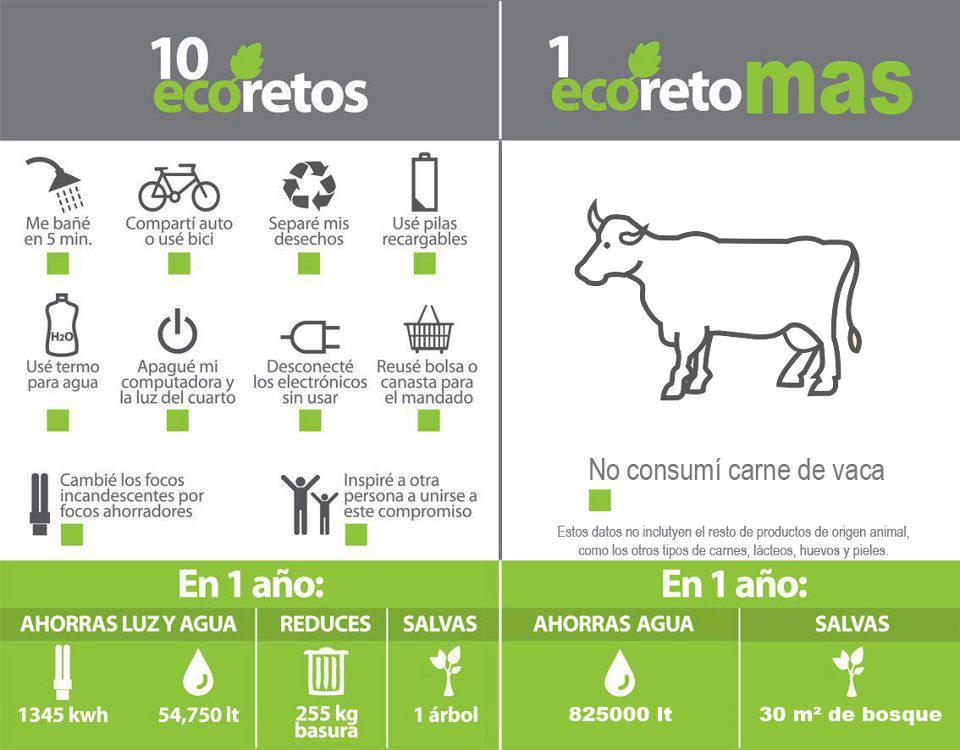PartidoPACMA's tweet photo. 11 cosas que puedes hacer para cuidar el planeta http://t.co/DwrjnehbFZ http://t.co/CNzfD1cWJB