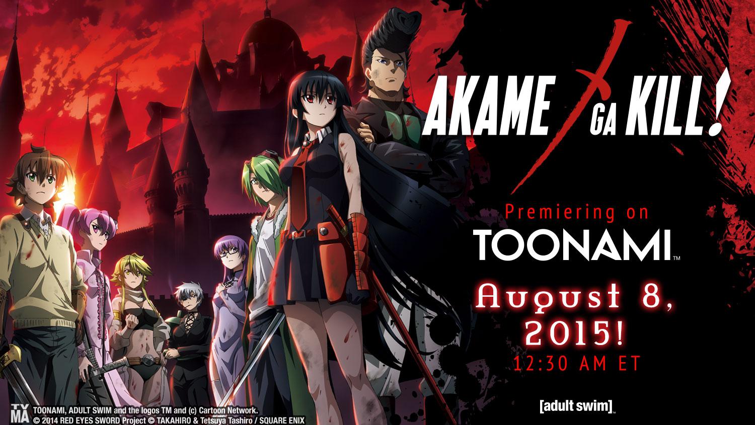 Watch Akame ga Kill!