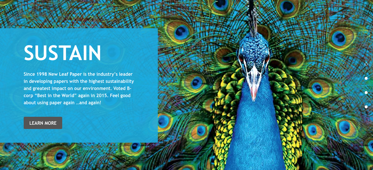 KasmanDesign's tweet photo. Excited to share the launch of the updated @NewLeafPaper website! Check it out at http://t.co/ZLuP7sUXUP http://t.co/Hndc5sj16w